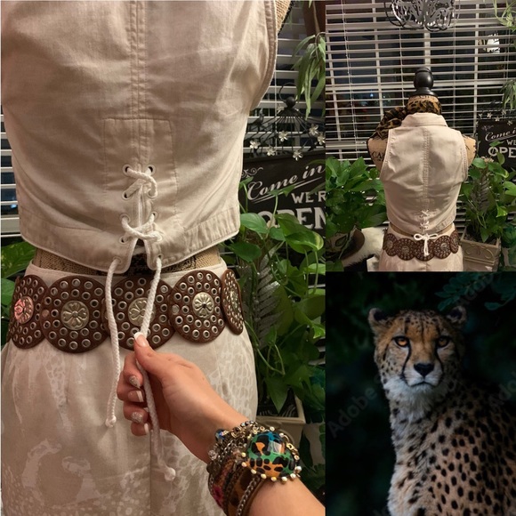 Dorothy Schoelen The Silver Connection Safari. - Picture 13 of 14